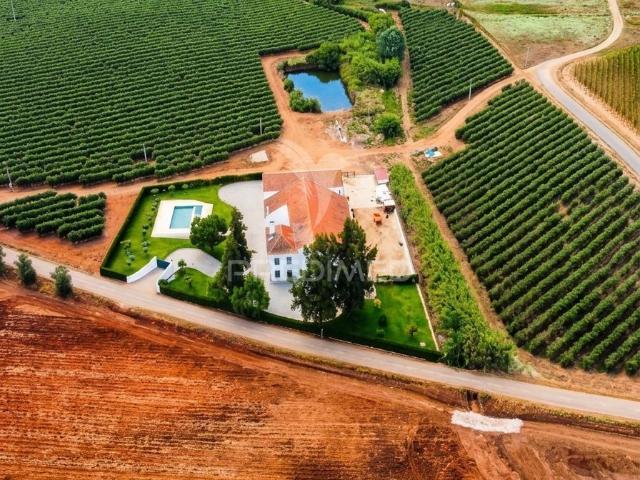 Beja Vidigueira Um Legado no Coração do Alentejo