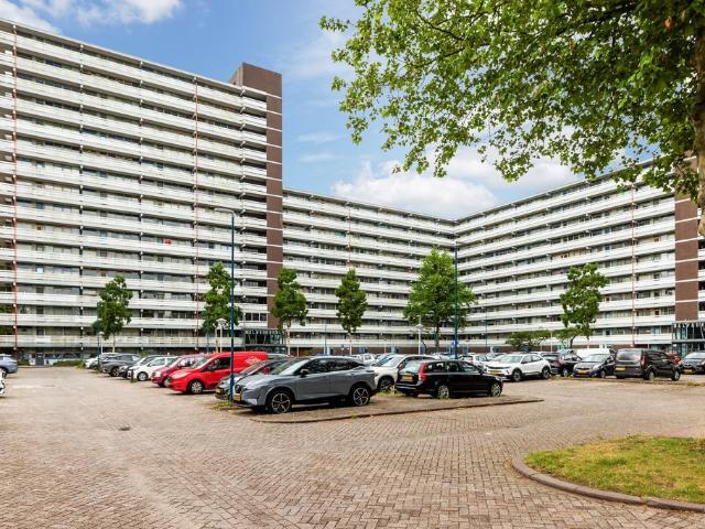 Belvédèrebos, Zoetermeer