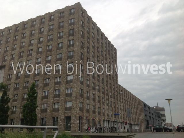 Belvederelaan 117