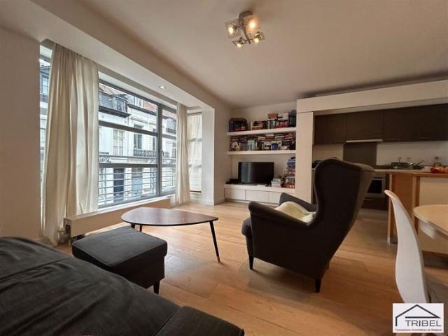 Bel apt 1 d'chambre EXCELLENTE SITUATION !
