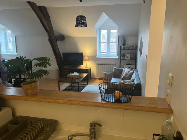 Bel appartement 3 chambres coeur de ville Immeuble et appartement rénové