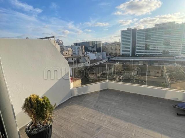 Bel appartement au 8 étage sans vis à vis en location longue durée à belvédère