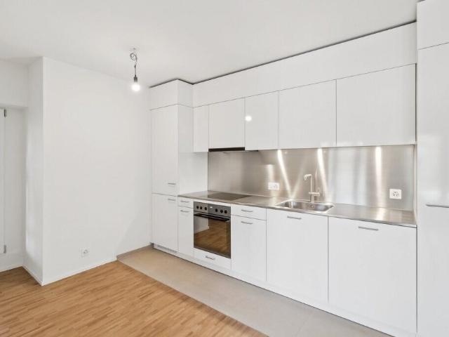Bel appartement avec vue sur le lac | dreamo. Ch