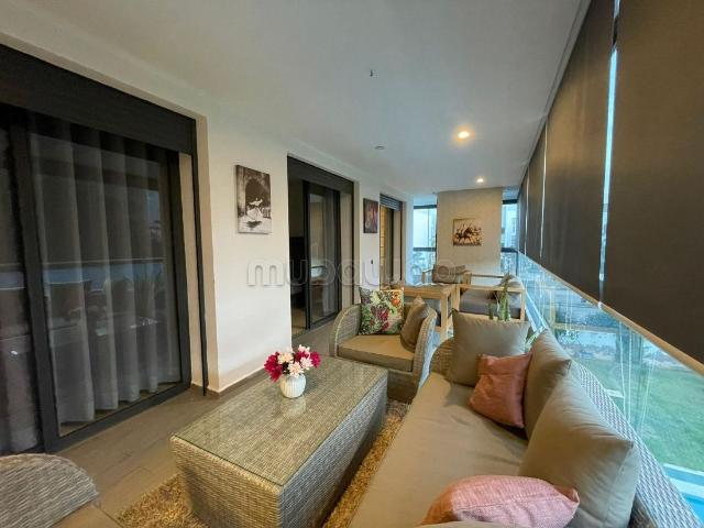 Bel appartement grande terrasse