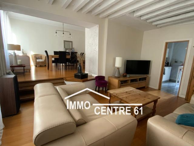 Bel appartement dans immeuble avec local commercial