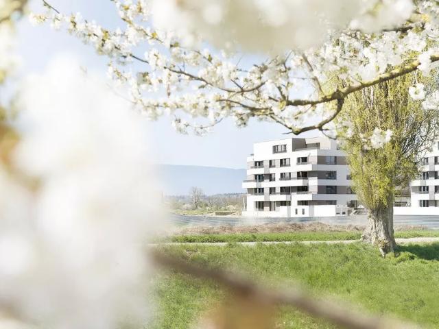 Bel appartement de 2.5 pièces