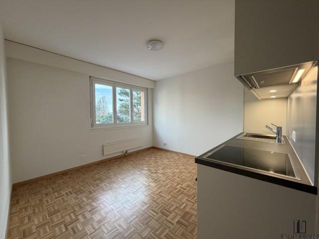 Bel appartement entièrement rénové à Morges CH 1110 Morges, Avenue du Delay 9 CHF 1'290. /mois + ch