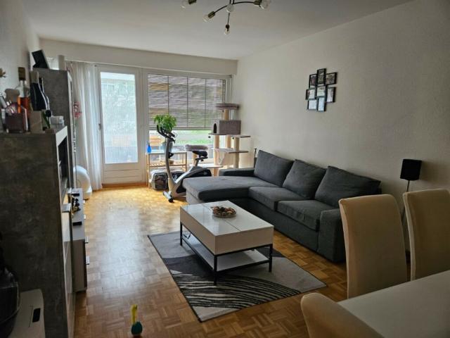 Bel appartement lumineux de 3 pièces à Genève, Rue Daubin