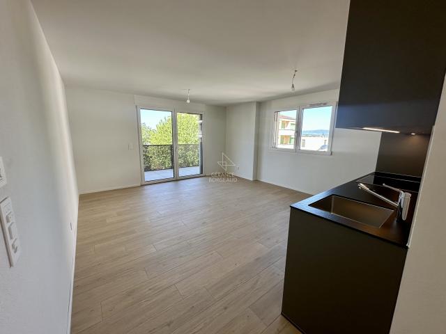 Bel appartement lumineux et moderne avec vue sur le lac