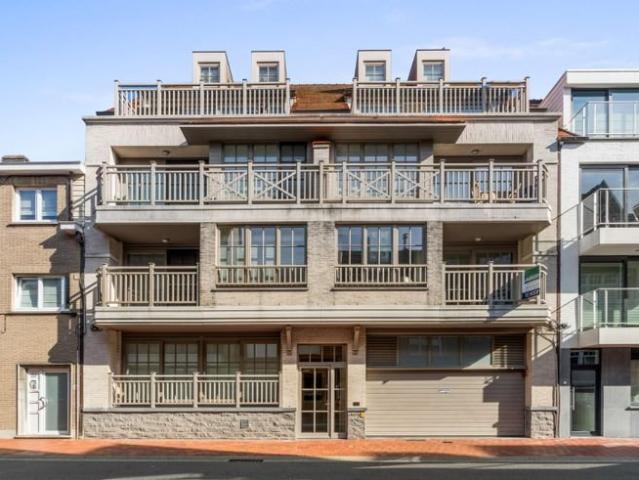 Bel appartement spacieux avec grande terrasse au centre de