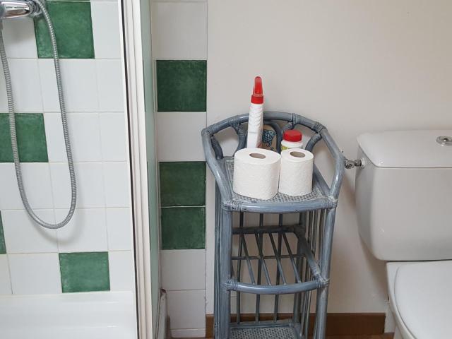 Bel appartement parquet et poutres apparentes
