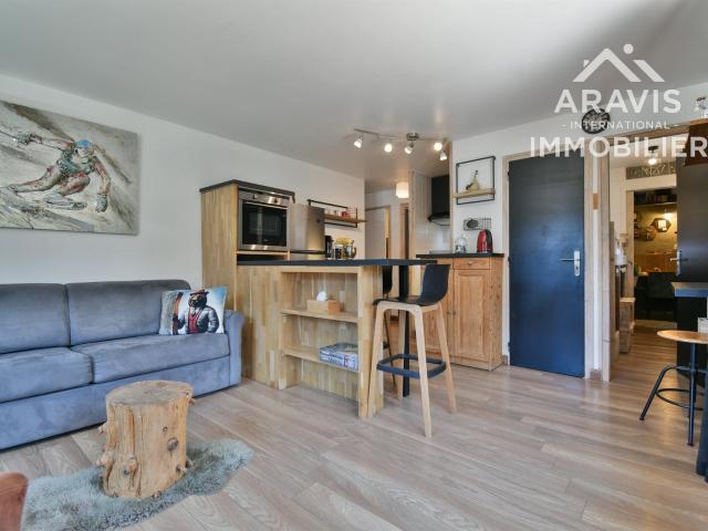 Bel appartement T2 + cabine sur les hauteurs du village 36m² Le Grand Bornand