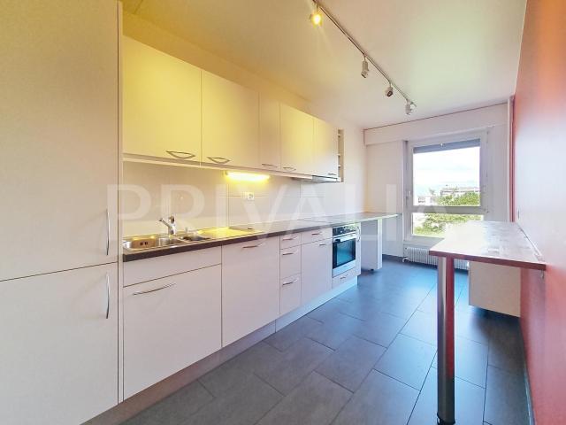 Bel appartement traversant au coeur du quartier de la Gradelle | dreamo. Ch