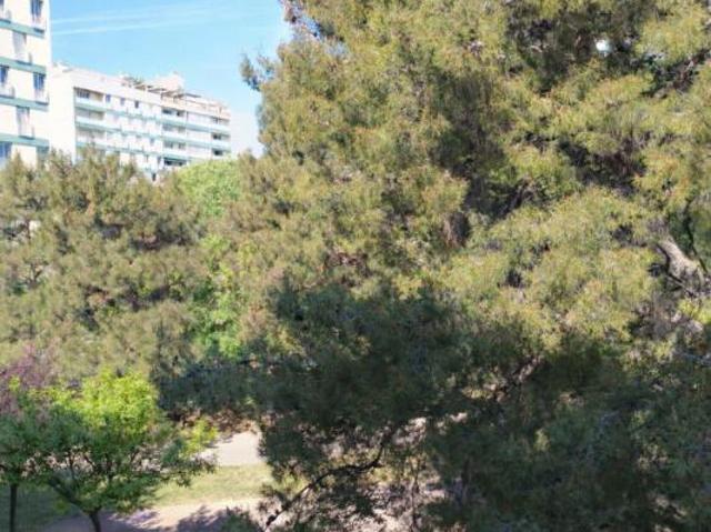 Bel investissement locatif T3 48 m2 La Rose