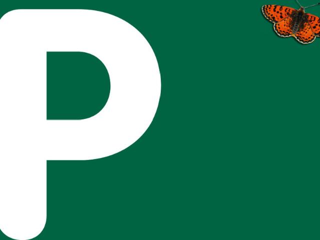 Belfaux – Außenparkplatz