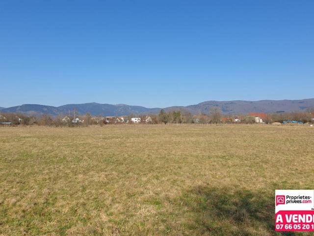 Belfort Vente Terrain 90