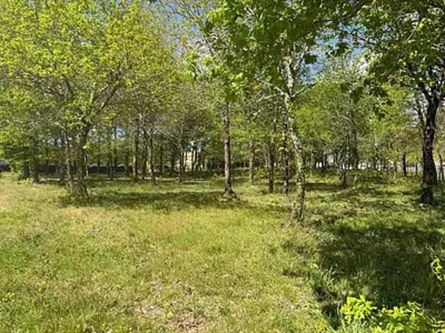 Belin Béliet 33830 Achat / Vente terrain