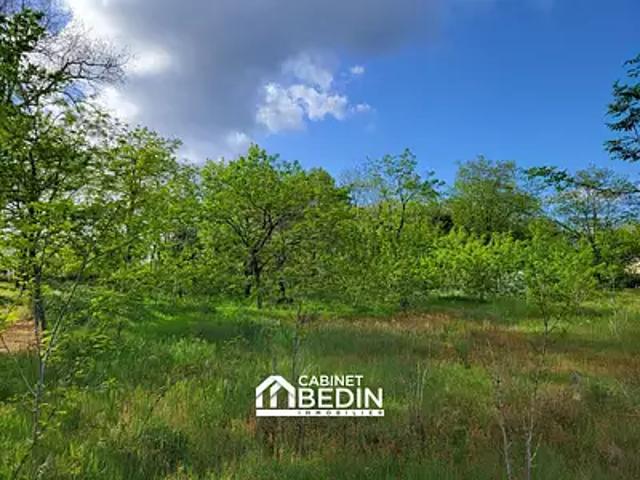Belin Béliet 33830 Achat / Vente terrain