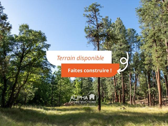 Belin Béliet Vente Terrain 33