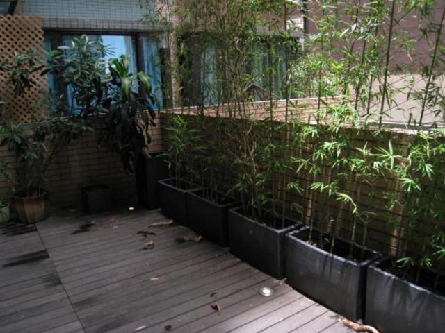 BELLA VISTA 蔚晴軒