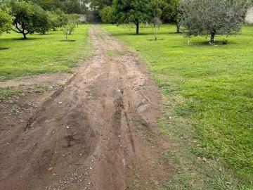 Bella y amplia casa con un gran huerto, en Ajijic