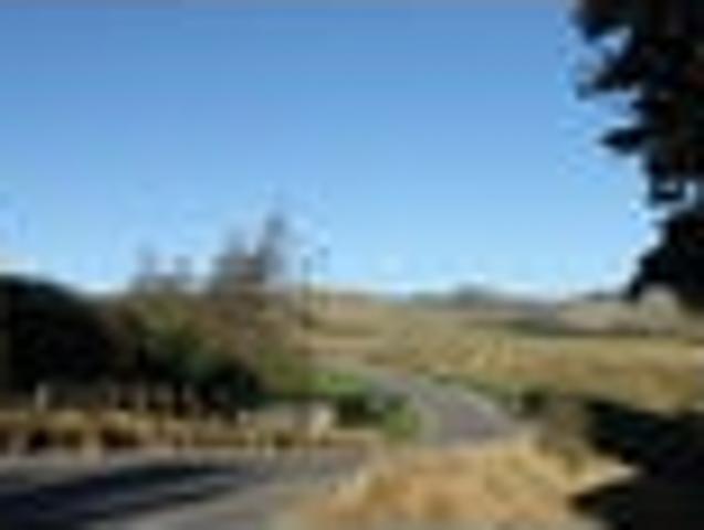 Bellbird Valley Boutique Estate