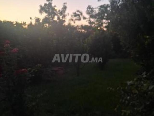 Belle villa