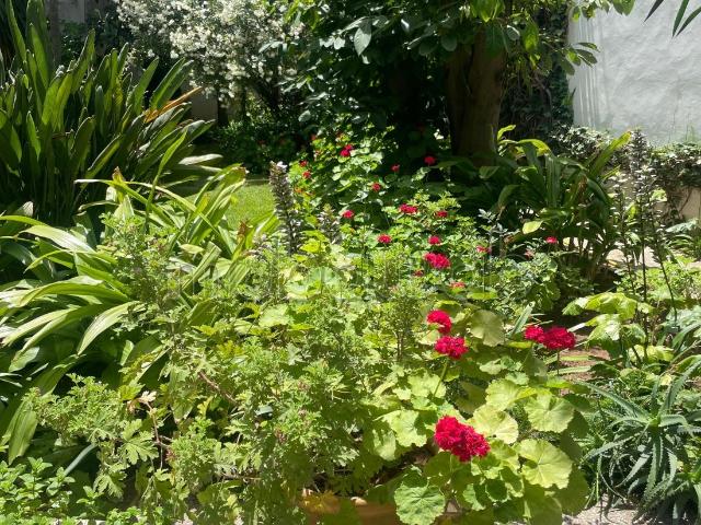 Belle Villa au coeur de Gauthier/Casablanca