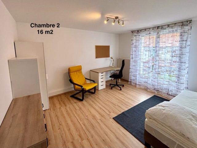 Belle chambre 16m2 dans appartement 70m2 Neudorf