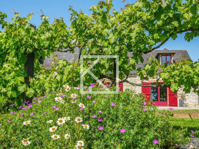 Belle maison de campagne au cadre bucolique 227m² Segré en Anjou Bleu