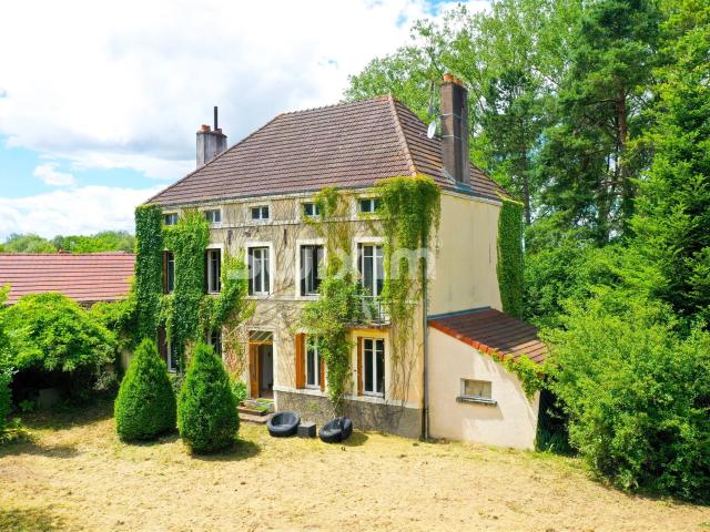 Belle maison de maitre au bord de Saone 212m² Saint Jean De Losne