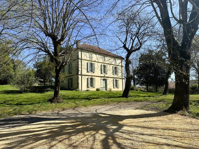 Belle maison de Maître, parc, vue 319m² Monbahus
