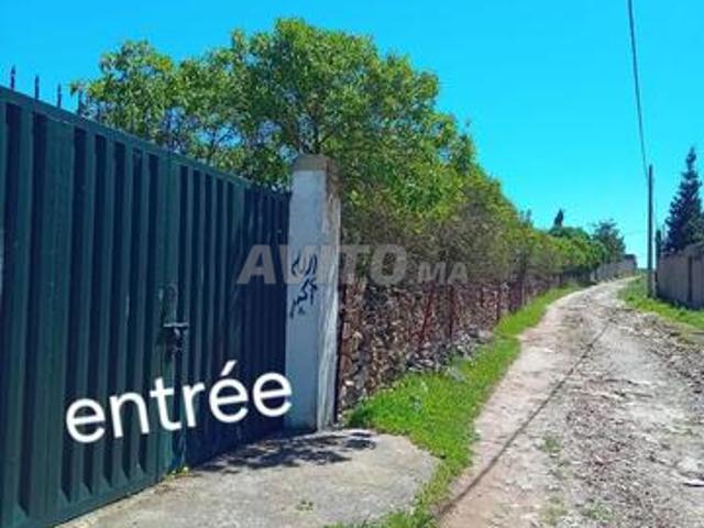 Belle Opportunité pour les passionnés de la nature