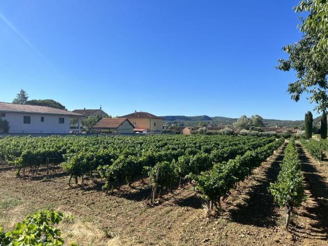 Belle parcelle terrain constructible Vallon Pont D'arc, 4020 m²