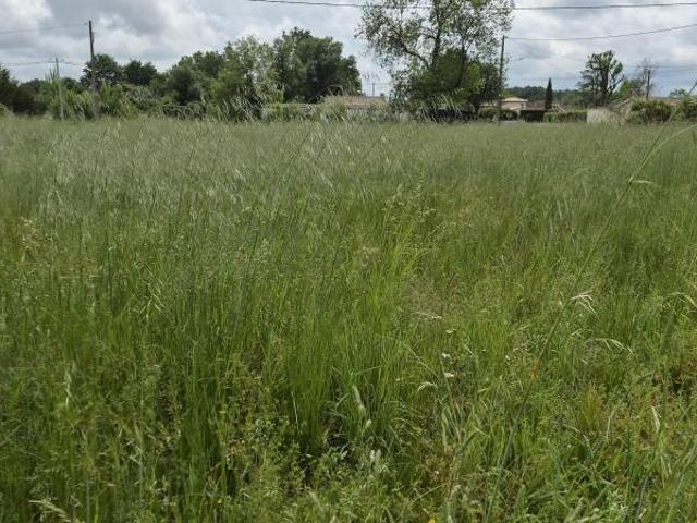 BELLE PARCELLE DE 1000m² A COUTRAS