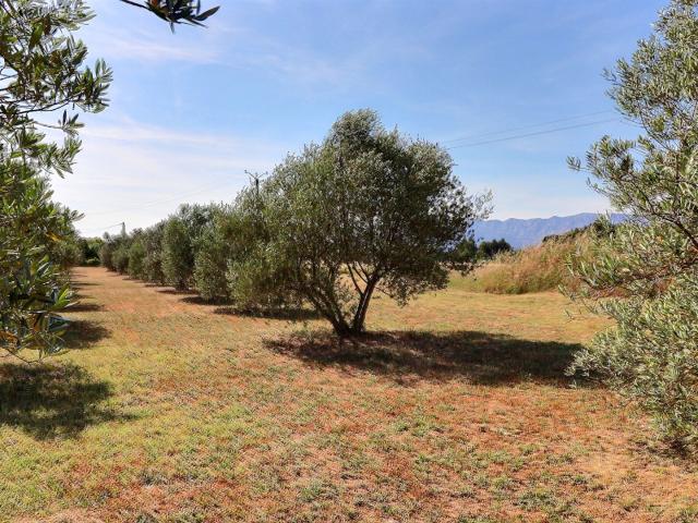 Belle propriété familiale avec piscine sur une parcelle d'1,4 hectares