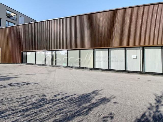 Arcade for rent in Satigny 100 m² | dreamo. Ch