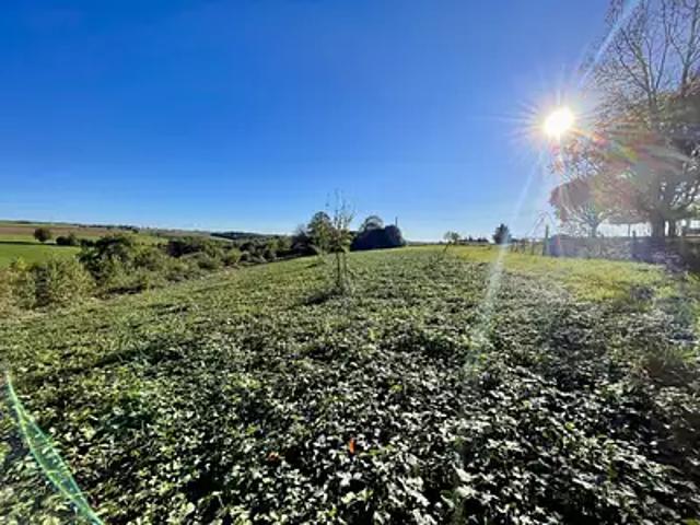 Bellegarde Marsal 81430 Achat / Vente terrain