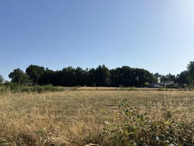 Belleville sur Vie Vente Terrain 85
