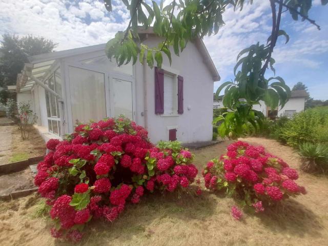 Belleville Vente Maison 54