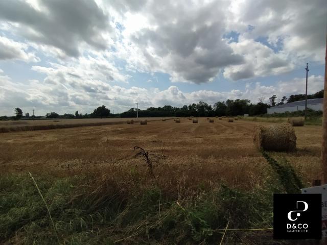 Belleville Vente Terrain 69