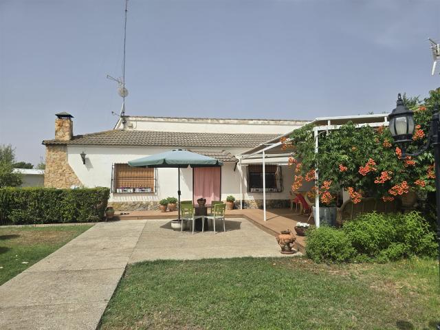 Bello Villa de Campo con 8,000 m², Piscina cubierta y Pista. 210m² Albacete