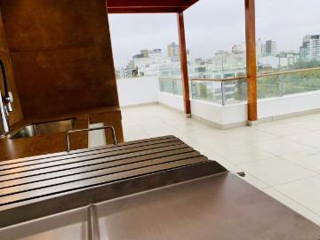Bello penthouse en alquiler tipo casa techos altos terraza linda calle triplex