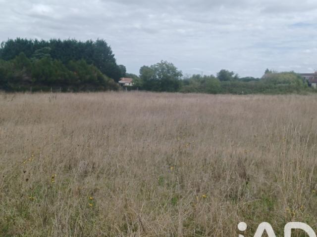 Belluire Vente Terrain 17