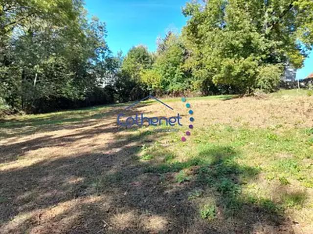 Belmont de la Loire 42670 Achat / Vente terrain