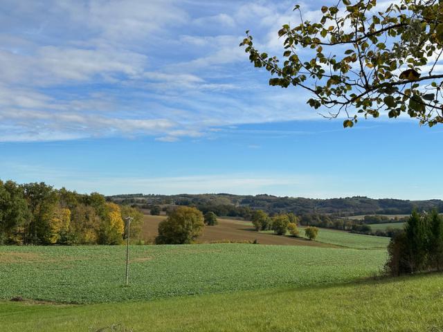 Belmont Vente Terrain 32