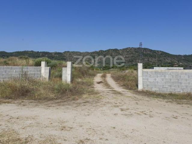 Belmonte Belmonte 92225141
