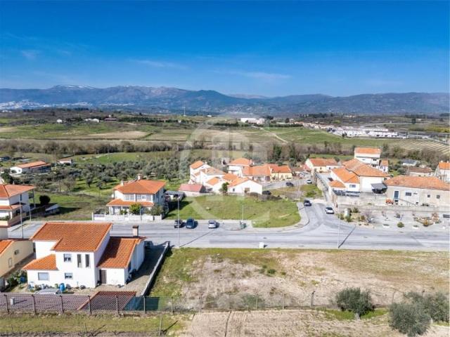 Belmonte Belmonte 100014998