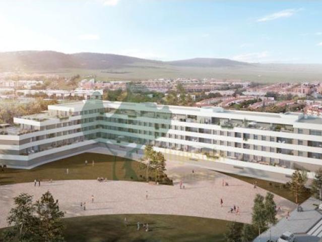 BELOMASAN 1ºB COMUNIDAD V