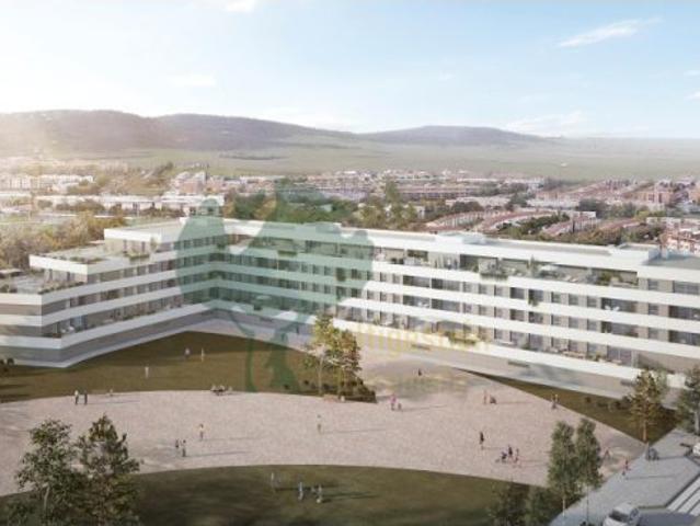 BELOMASAN COMUNIDAD II 2ºA
